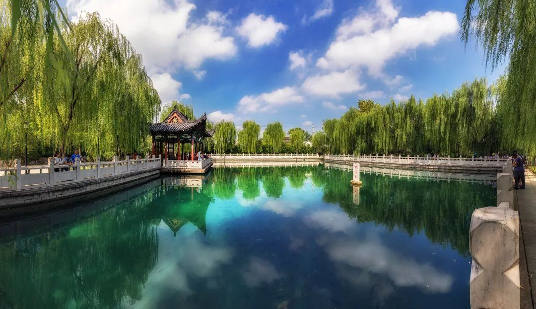 招聘城投大厦会务助理（国企，签三方合同）